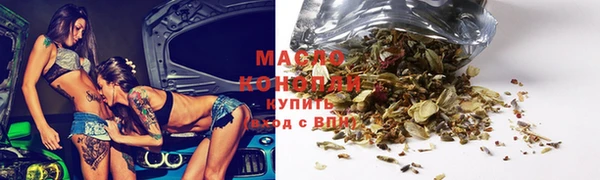 хмурый Пересвет