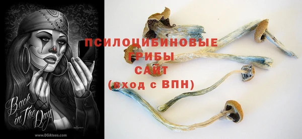 гидропоника Переславль-Залесский