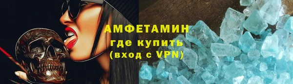 хмурый Пересвет