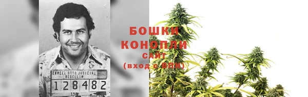 хмурый Пересвет