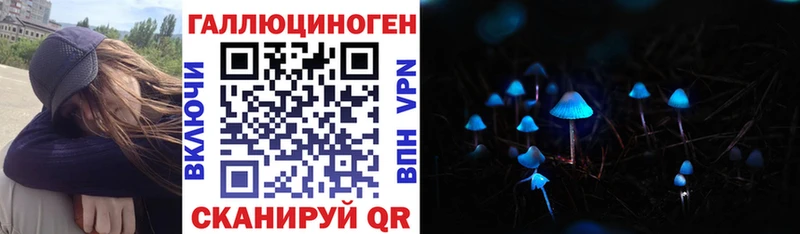 Псилоцибиновые грибы мицелий  дарк нет Telegram  Мурино  купить  